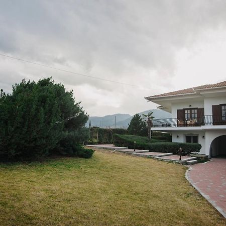 Mythic House Villa Leptokariá Kültér fotó