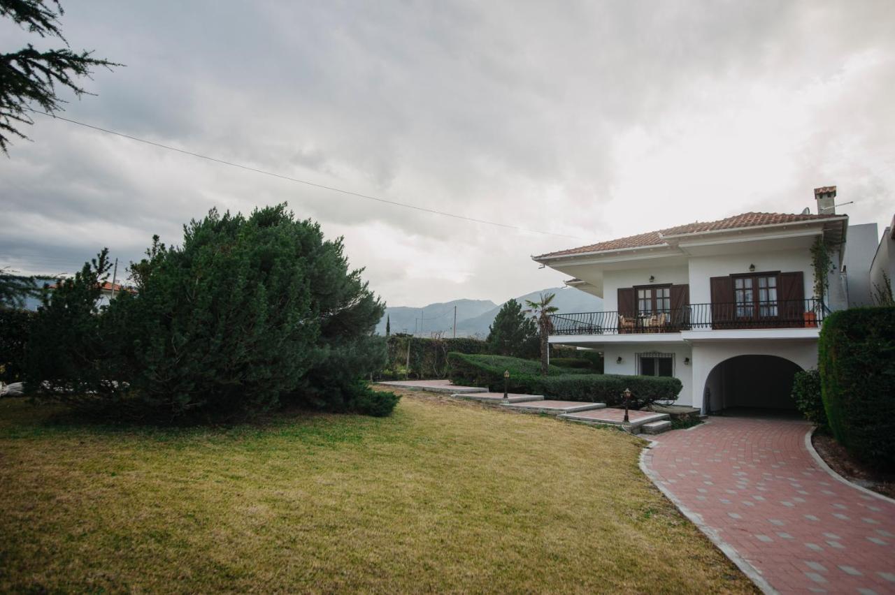 Mythic House Villa Leptokariá Kültér fotó