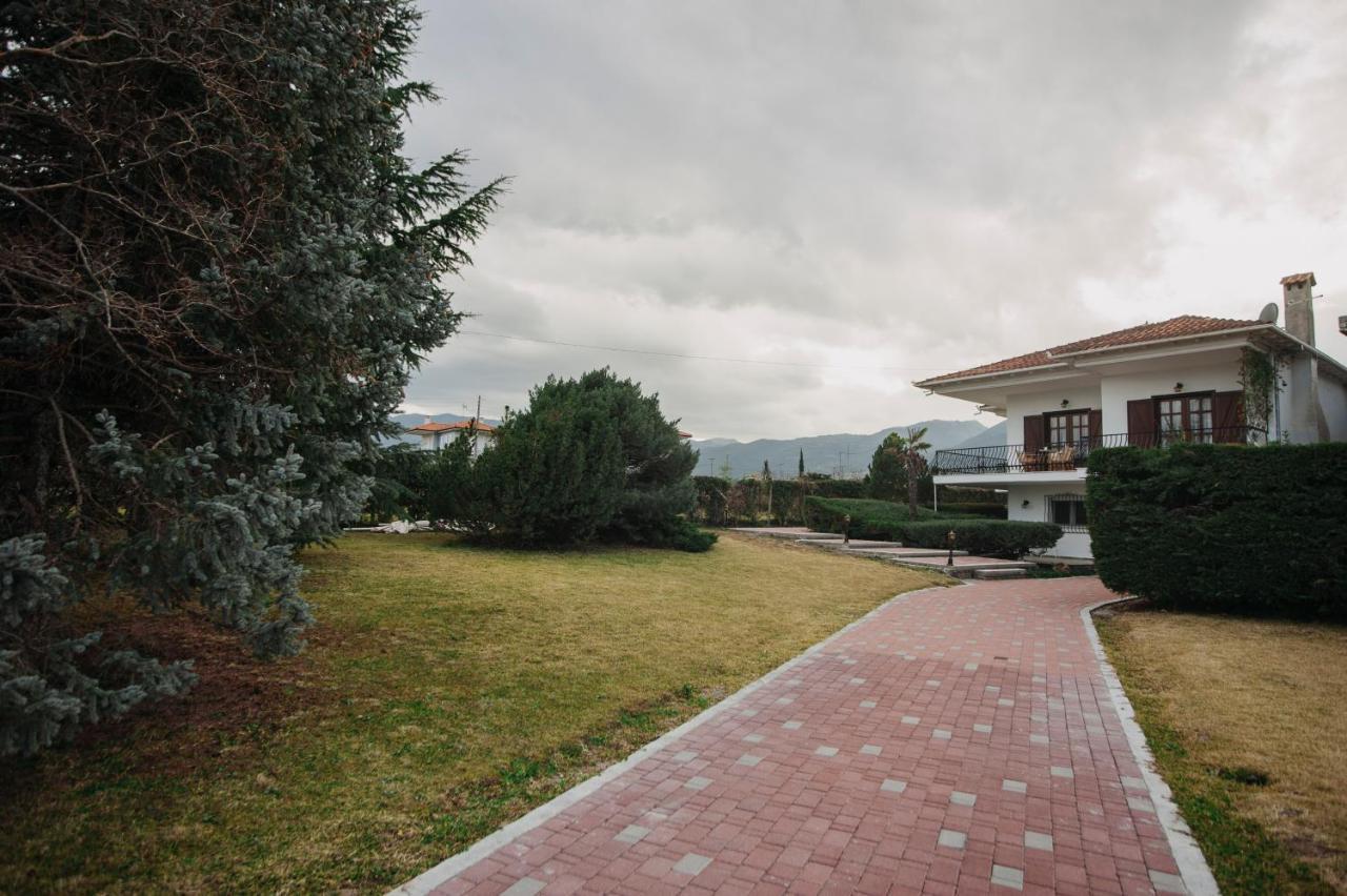 Mythic House Villa Leptokariá Kültér fotó